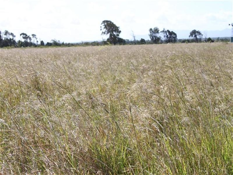 0 SHAWS Road, Barmoya QLD 4703