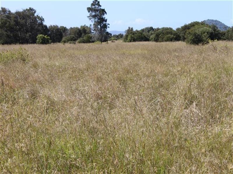 0 SHAWS Road, Barmoya QLD 4703