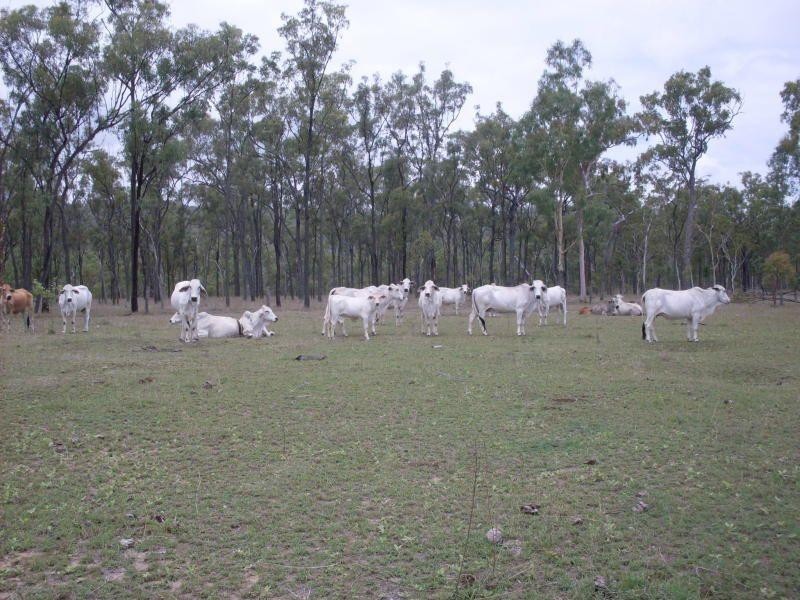“Flagstone” Normanby Road, Bowen QLD 4805