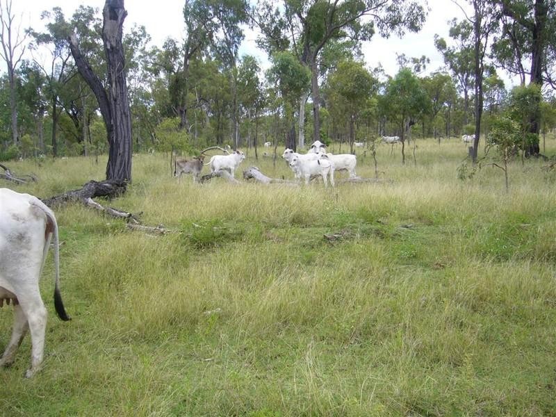 “Flagstone” Normanby Road, Bowen QLD 4805