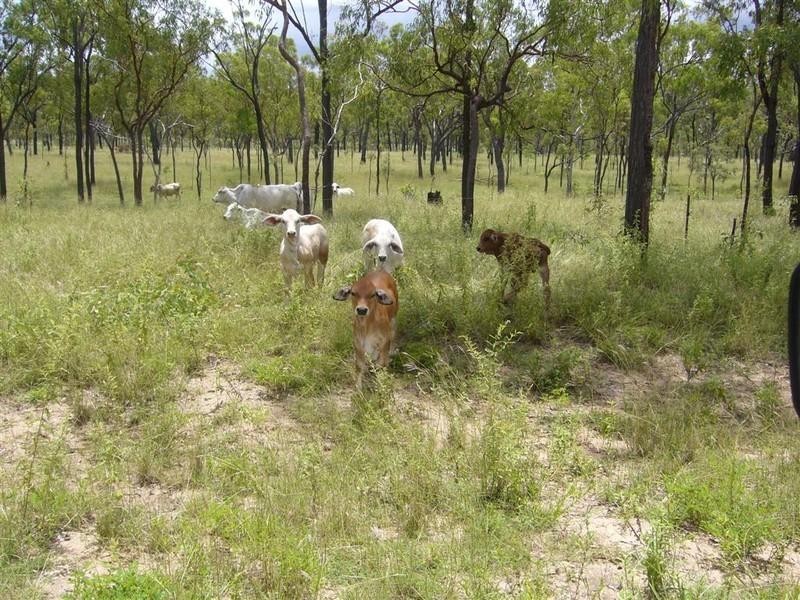 “Flagstone” Normanby Road, Bowen QLD 4805