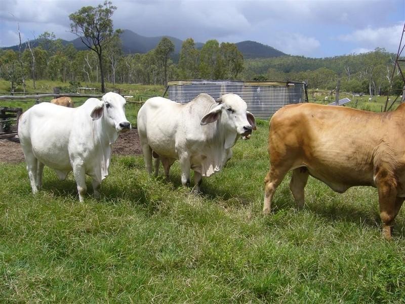 “Flagstone” Normanby Road, Bowen QLD 4805