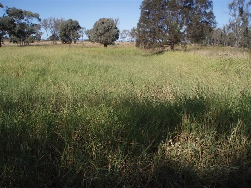Lot 6 Seymour Road, Ridgelands QLD 4702