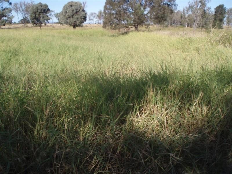 Lot 6 Seymour Road, Ridgelands QLD 4702