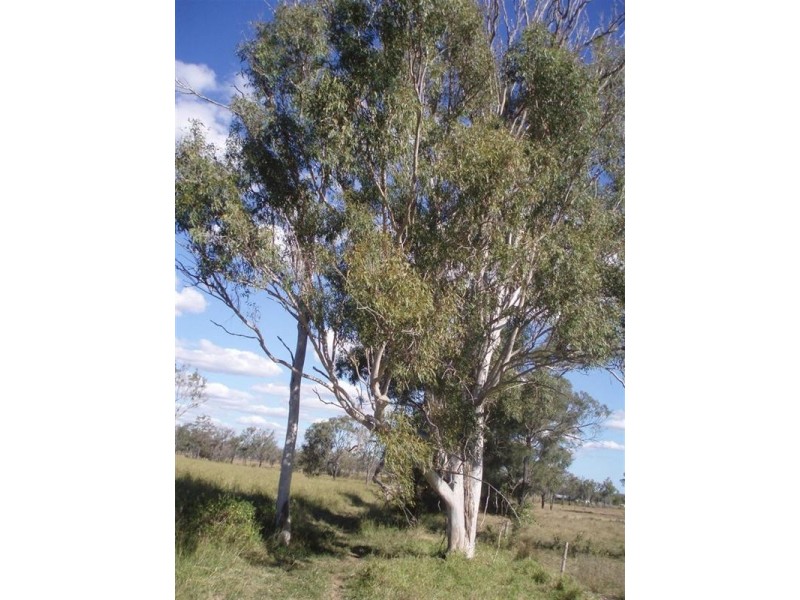 Lot 6 Seymour Road, Ridgelands QLD 4702