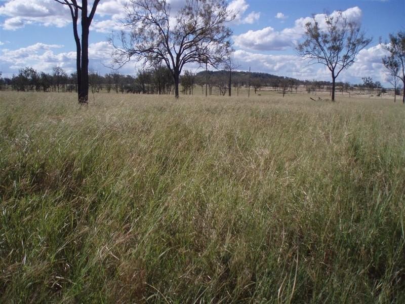 309 Seymour Road, Ridgelands QLD 4702