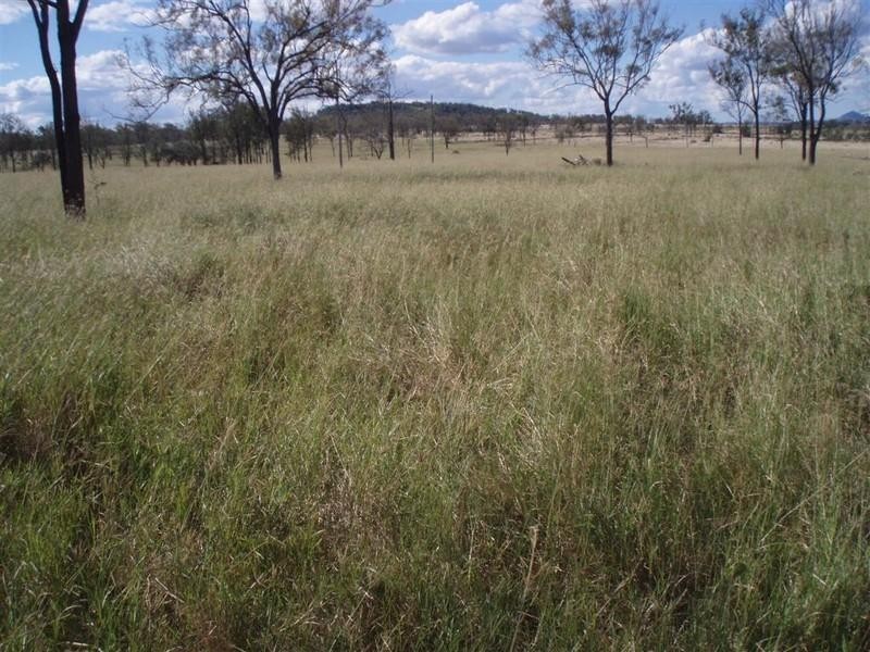 309 Seymour Road, Ridgelands QLD 4702