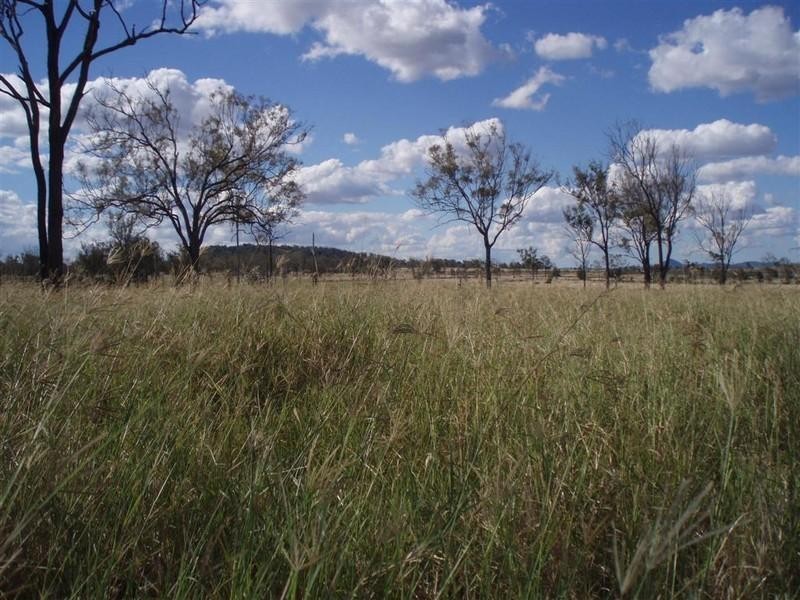 309 Seymour Road, Ridgelands QLD 4702