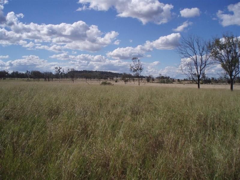 309 Seymour Road, Ridgelands QLD 4702