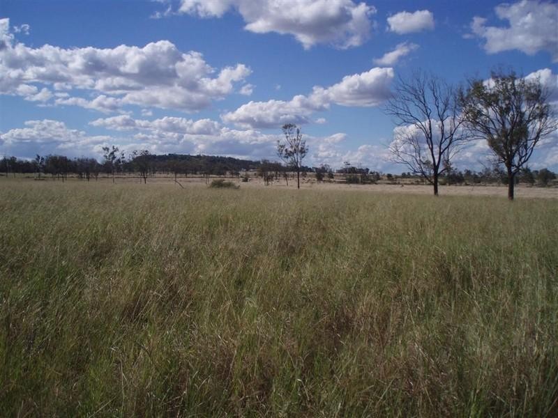 309 Seymour Road, Ridgelands QLD 4702