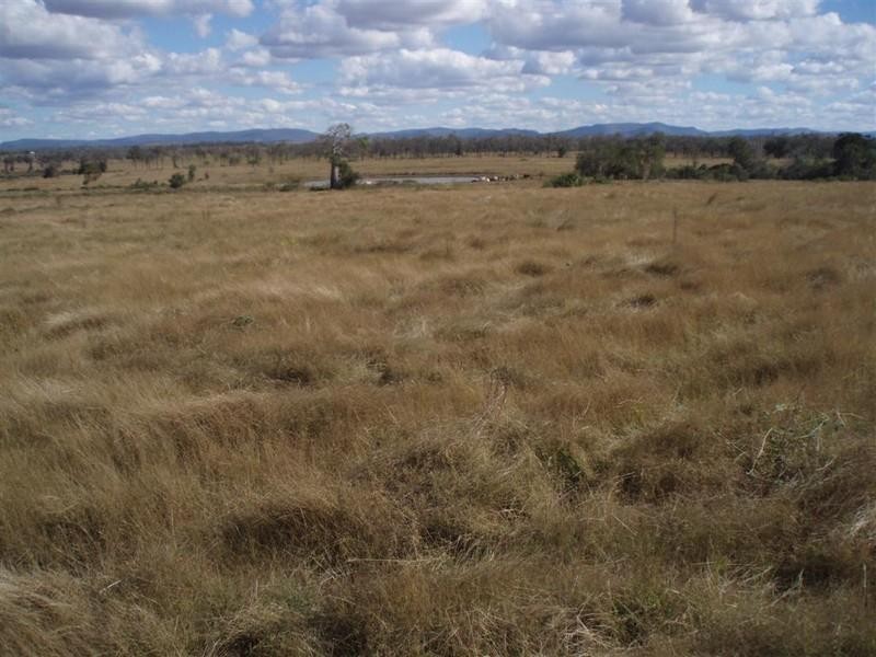 309 Seymour Road, Ridgelands QLD 4702