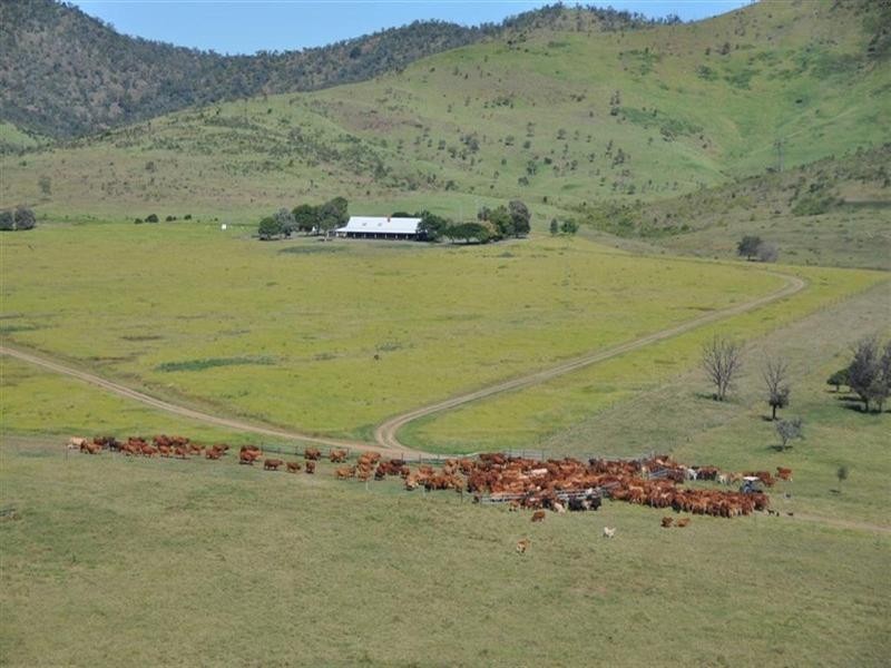 “Comanche” Mornish, Rockhampton QLD 4700