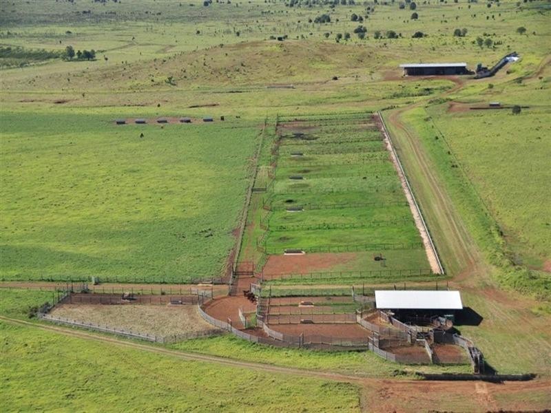 “Comanche” Mornish, Rockhampton QLD 4700