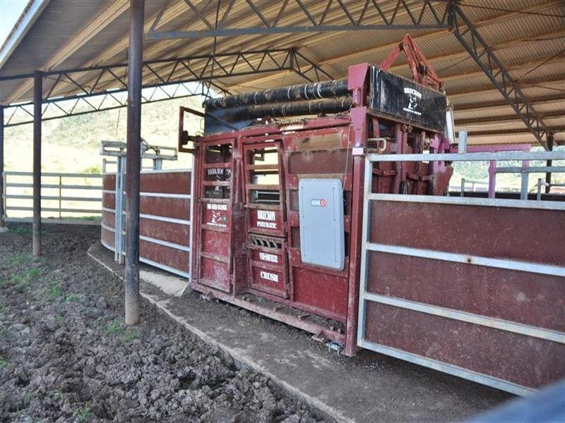 “Comanche” Mornish, Rockhampton QLD 4700