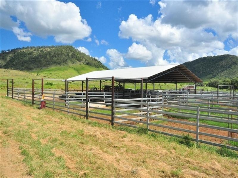 “Comanche” Mornish, Rockhampton QLD 4700