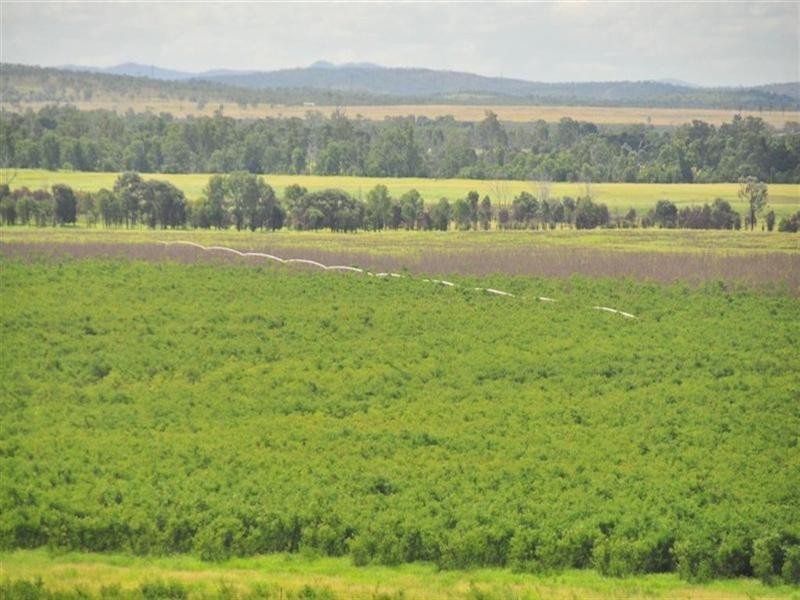 “Comanche” Mornish, Rockhampton QLD 4700