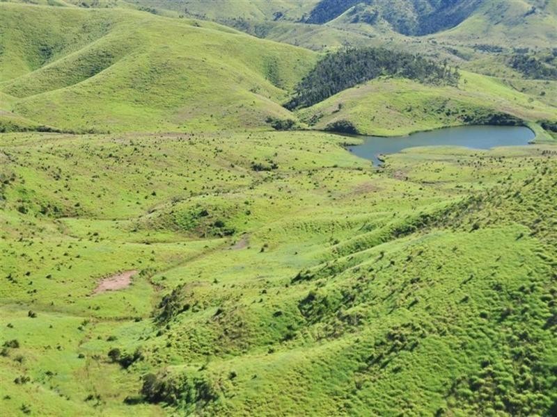 “Comanche” Mornish, Rockhampton QLD 4700
