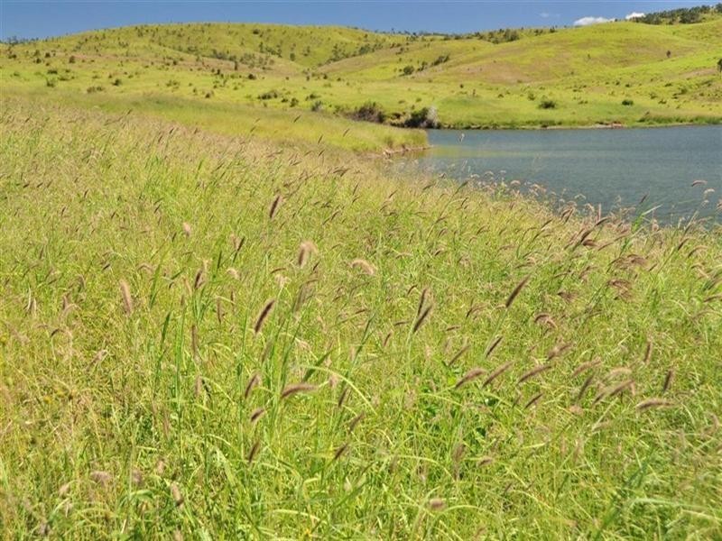 “Comanche” Mornish, Rockhampton QLD 4700