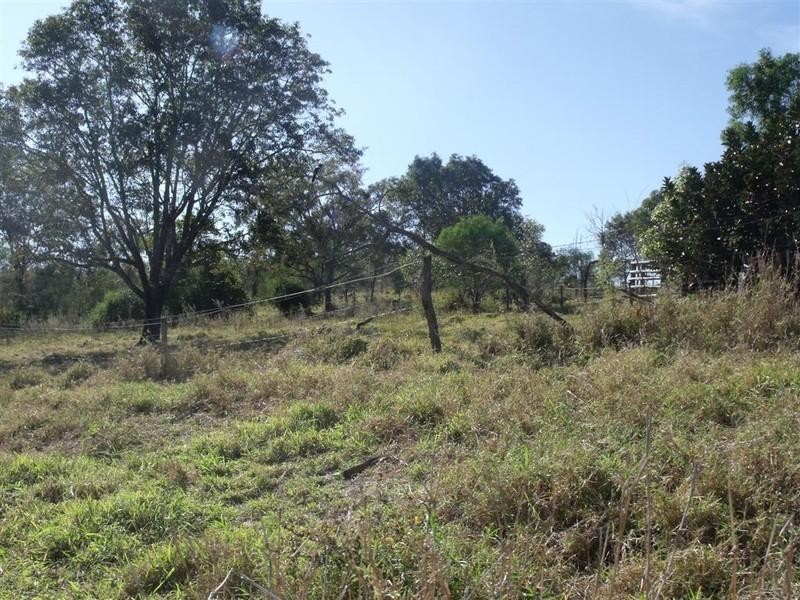 51239 Burnett Highway, Baree QLD 4714