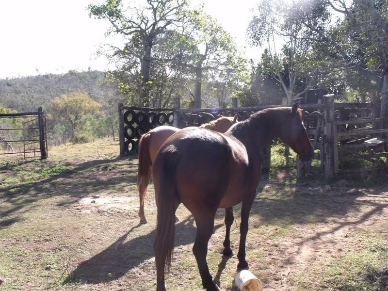 51239 Burnett Highway, Baree QLD 4714