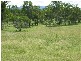 Bracewell QLD 4695