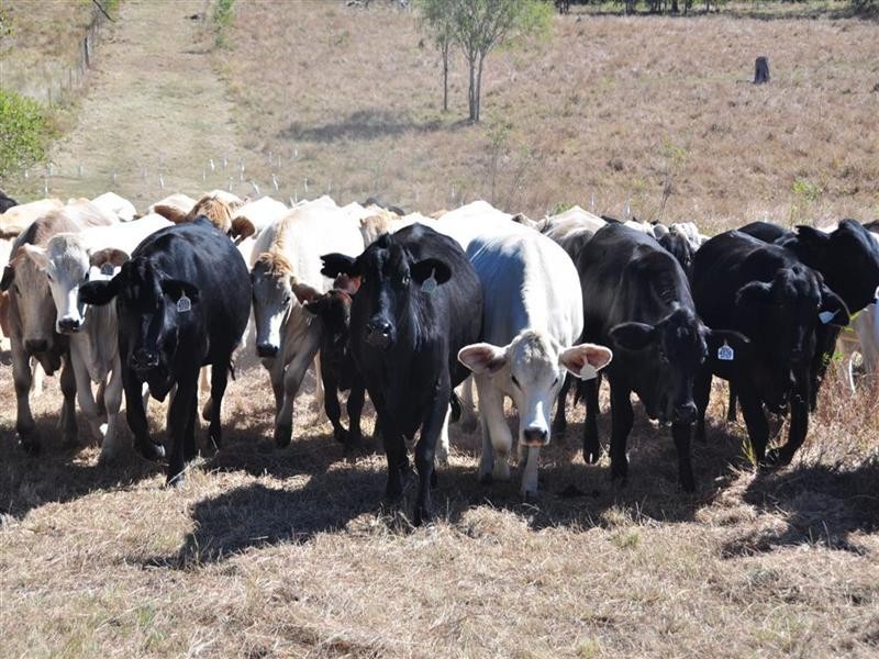 123-125 Miriam Vale Road, Miriam Vale QLD 4677