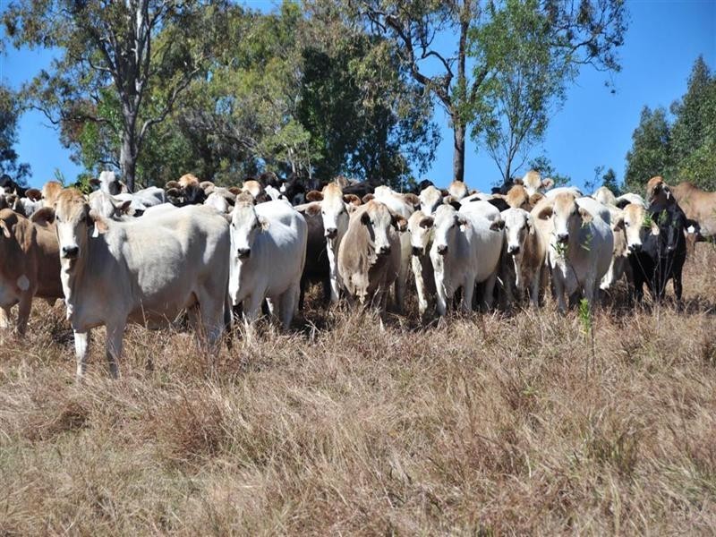 .Lot 21 Turkey Beach Road, Rodds Bay QLD 4678