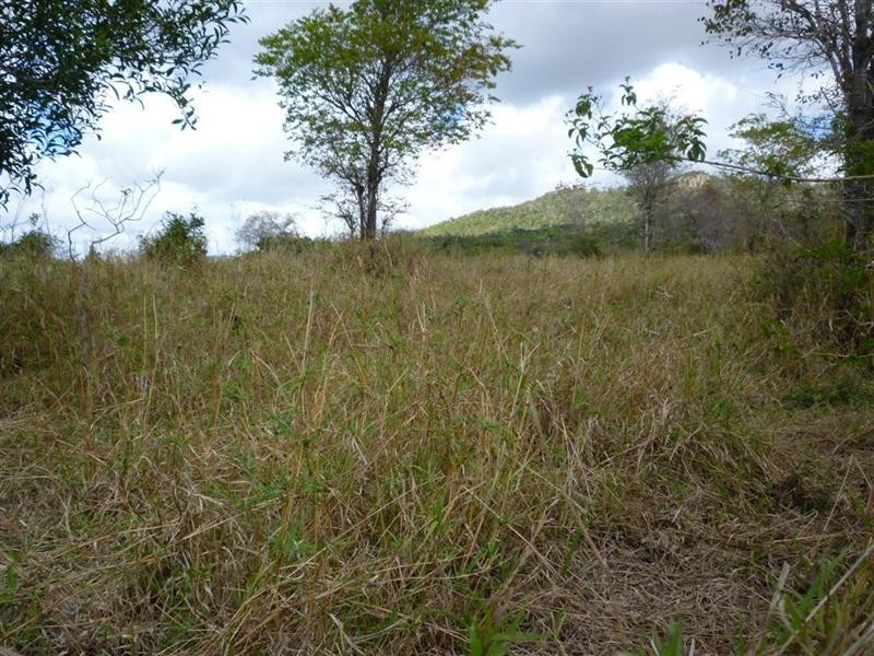 113 Broughton Road, Dalma QLD 4702