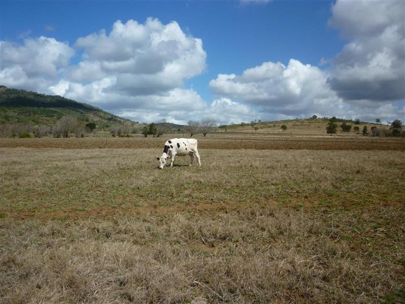 113 Broughton Road, Dalma QLD 4702