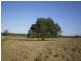 1688 South Yaamba Road, South Yaamba QLD 4702