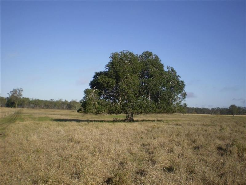 1688 South Yaamba Road, South Yaamba QLD 4702