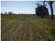 1688 South Yaamba Road, South Yaamba QLD 4702