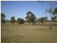1688 South Yaamba Road, South Yaamba QLD 4702