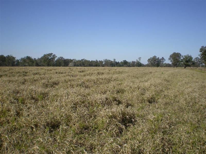 1688 South Yaamba Road, South Yaamba QLD 4702