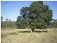 1688 South Yaamba Road, South Yaamba QLD 4702
