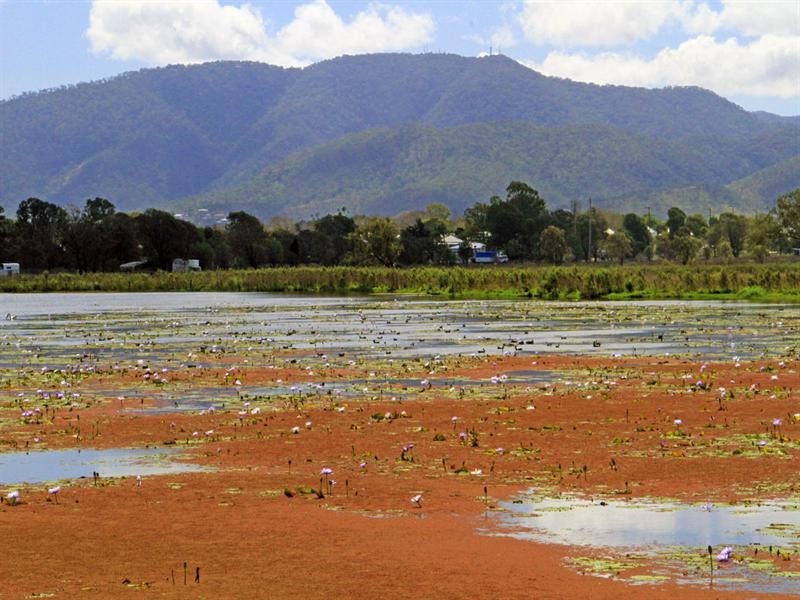 17 Barnes Street, Rockhampton QLD 4700