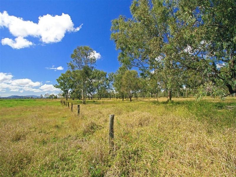 17 Barnes Street, Rockhampton QLD 4700