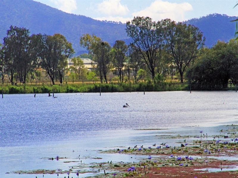 .17 Barnes Street, Rockhampton QLD 4700