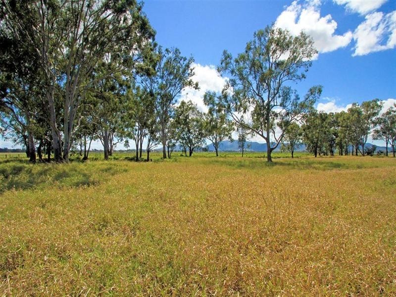 .17 Barnes Street, Rockhampton QLD 4700