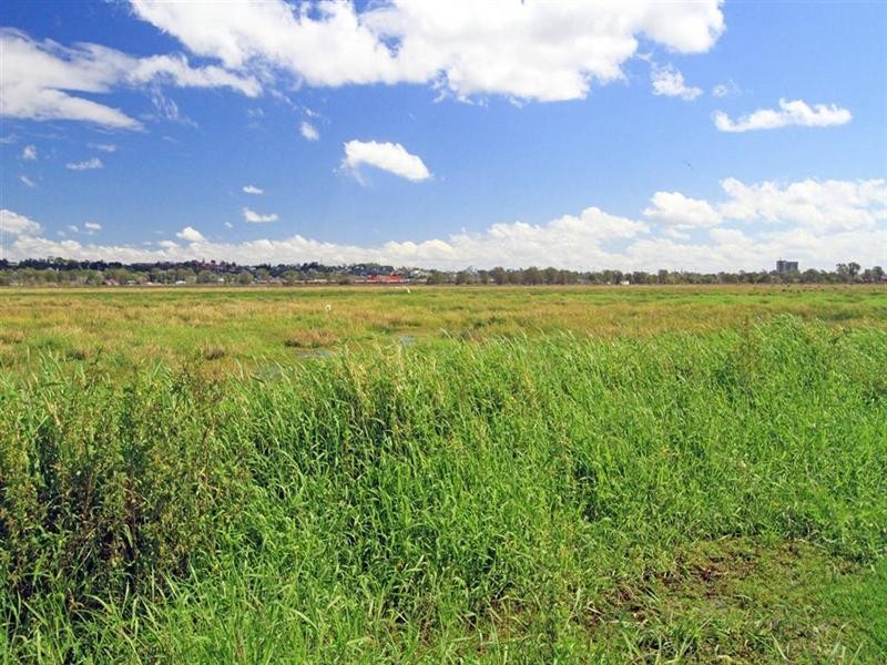 .17 Barnes Street, Rockhampton QLD 4700