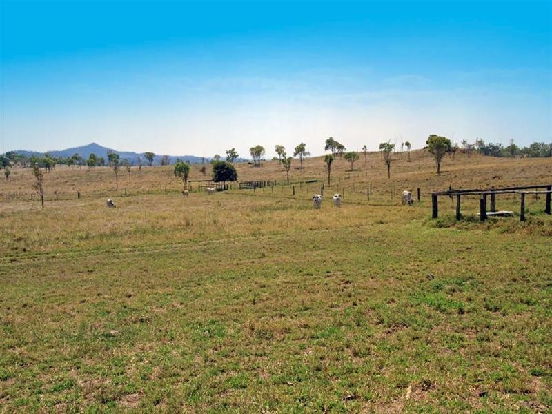 113 Kabralea Road, Gracemere QLD 4702