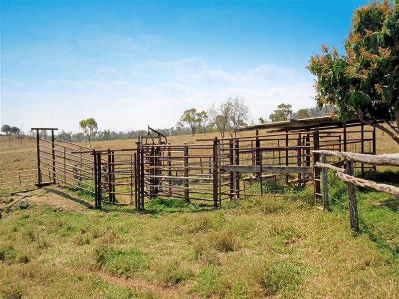 113 Kabralea Road, Gracemere QLD 4702