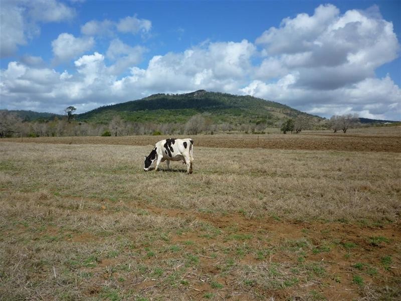 113 Broughton Road, Dalma, Dalma QLD 4702