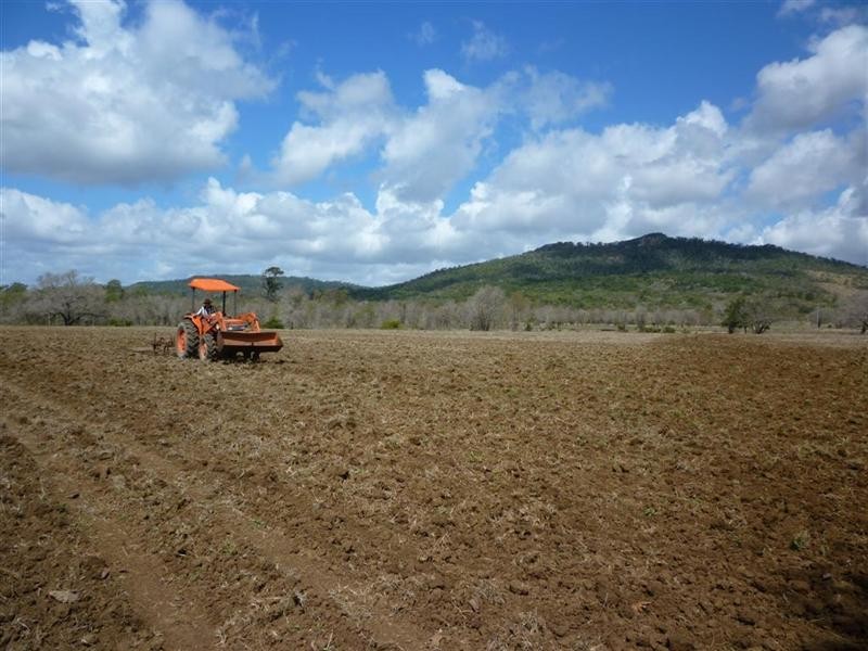 113 Broughton Road, Dalma, Dalma QLD 4702