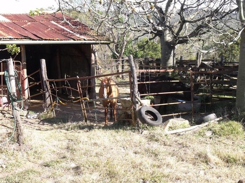 51239 Burnett Highway, Mount Morgan QLD 4714