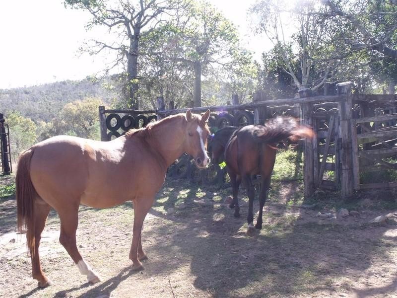 51239 Burnett Highway, Mount Morgan QLD 4714