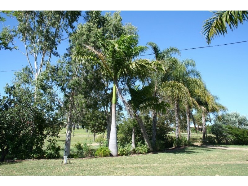 15 West Street, Gracemere QLD 4702