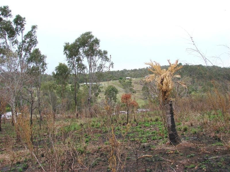 34 Whitely Street, Mount Morgan QLD 4714