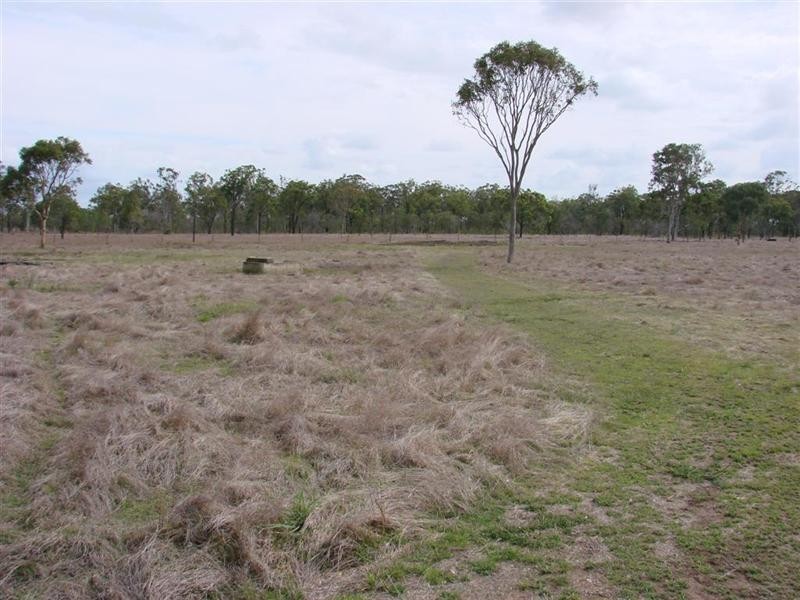 .56 Raynor Road, Alton Downs QLD 4702