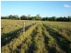 Lot 30 Capricorn Highway, Kalapa QLD 4702
